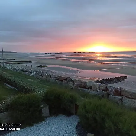 De Charme Floreales Les Iris Asnelles